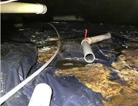 Water Damage - Sewage Cleanup Photo 44
