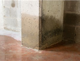 Water Damage - Structural Damage Photo 93