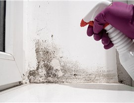 Restoration Photo 33