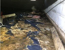 Water Damage - Sewage Cleanup Photo 91