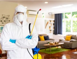 Disinfection Photo 88