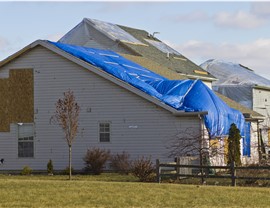 Storm Damage - Wind Damage Photo 2
