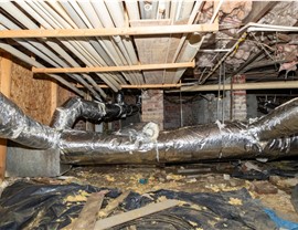 Crawl Space Photo 4