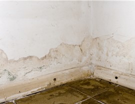 Water Damage - Structural Damage Photo 78