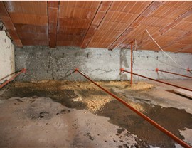 Crawl Space Photo 6