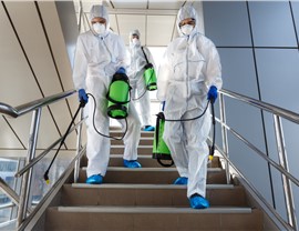 Commercial Disinfection Photo 63