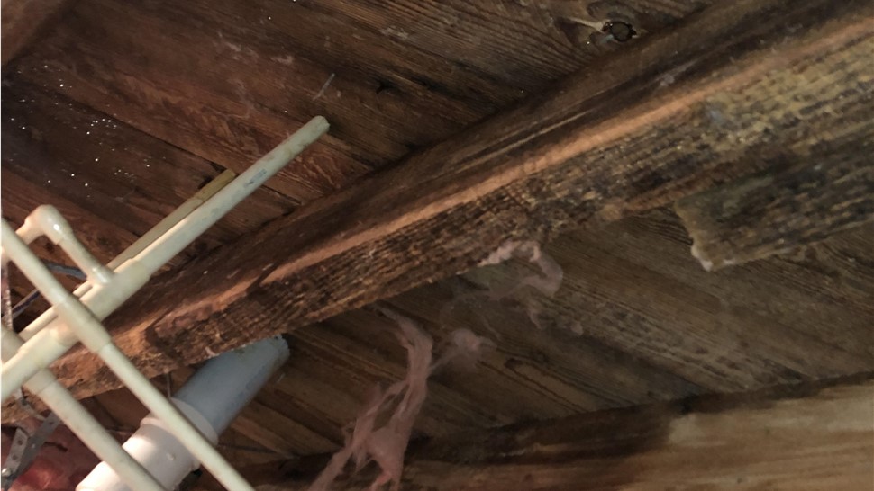 Crawl Space, Water Damage Project in Crossville, TN by Innovative Home Services