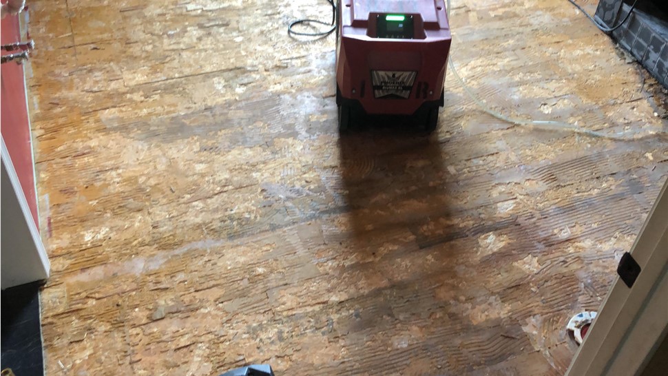 Biohazard Cleanup, Emergency Services Project in Sparta, TN by Innovative Home Services