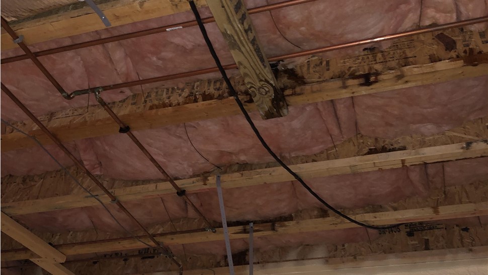 Crawl Space, Water Damage Project in Crossville, TN by Innovative Home Services