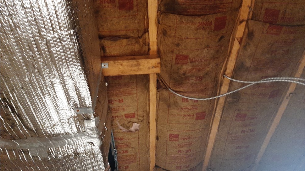Crawl Space, Mold Remediation Project in Livingston, Tennessee by Innovative Home Services
