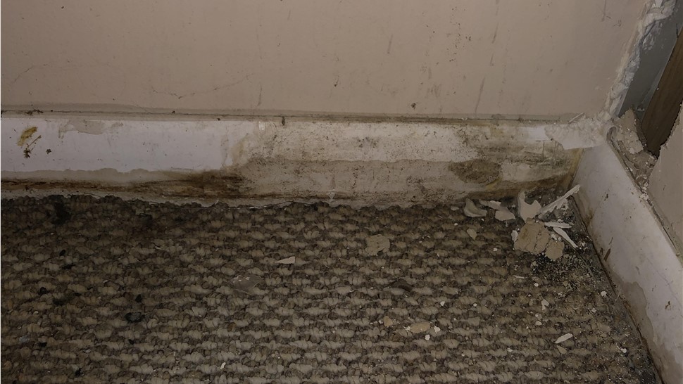 Water Damage Project in Knoxville, TN by Innovative Home Services