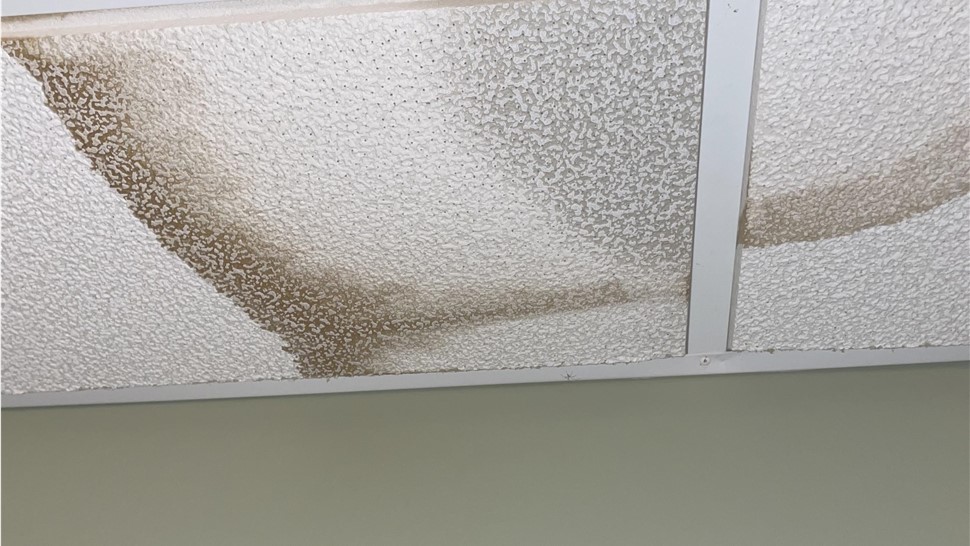 Emergency Services, Water Damage Project in Silver Point, TN by Innovative Home Services