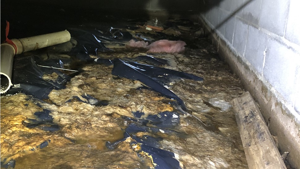 Biohazard Cleanup, Crawl Space, Emergency Services Project in Cookeville, TN by Innovative Home Services