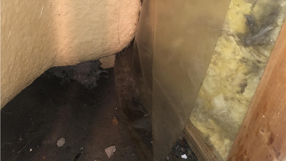 Water Damage Project in Knoxville, TN by Innovative Home Services