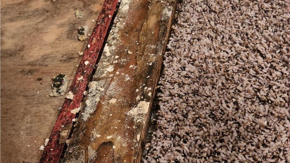 Biohazard Cleanup, Crawl Space Project in Harriman, TN by Innovative Home Services