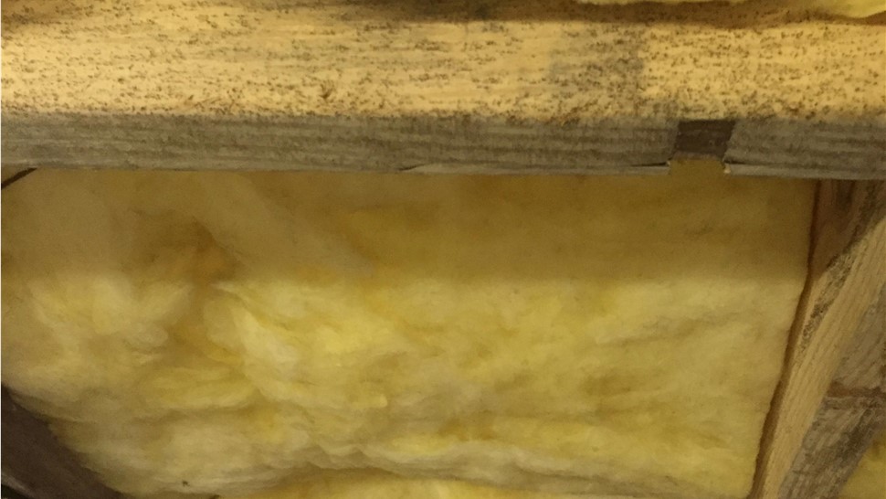 Crawl Space Project in Crossville, TN by Innovative Home Services