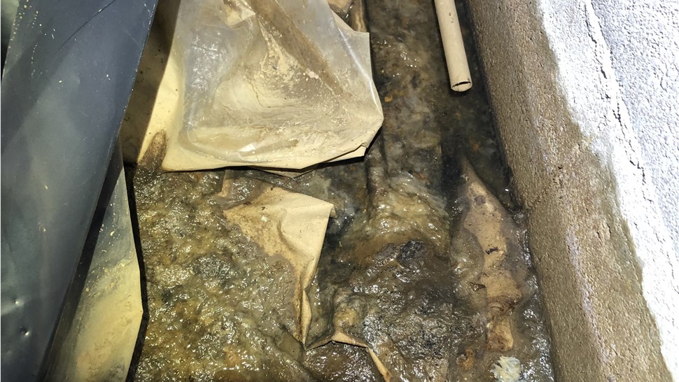 Biohazard Cleanup, Crawl Space, Emergency Services Project in Cookeville, TN by Innovative Home Services