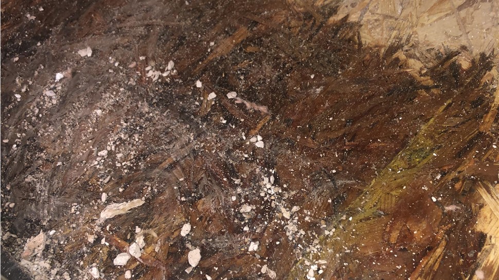 Water Damage Project in Crossville, TN by Innovative Home Services