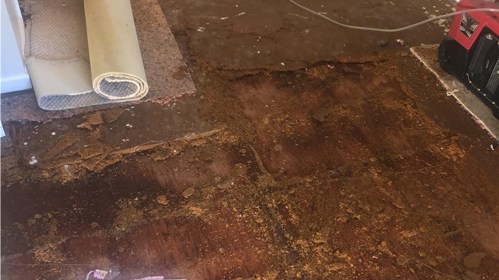 Water Damage Project in Crossville, TN by Innovative Home Services