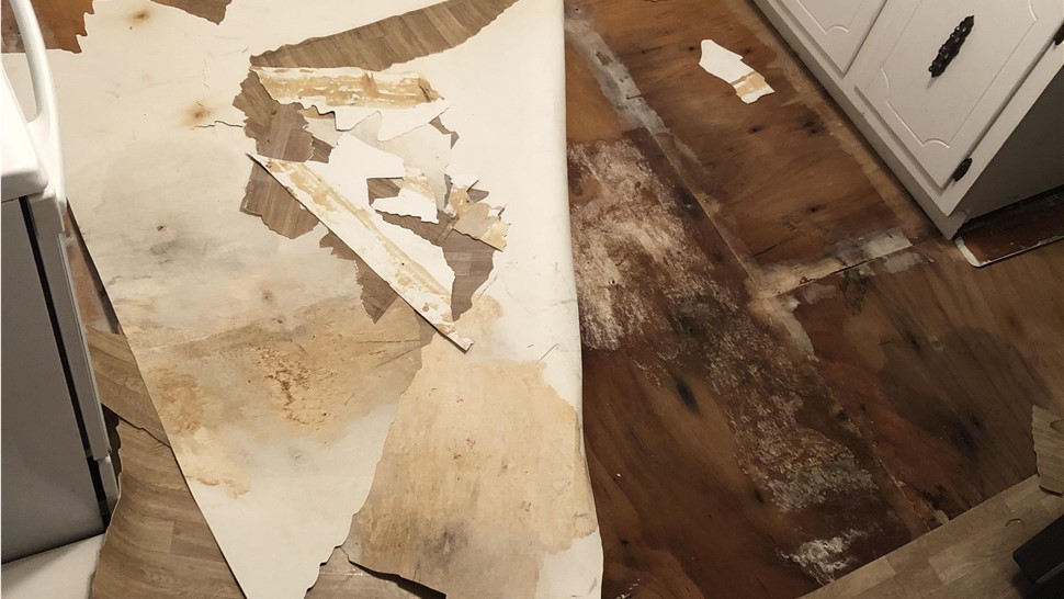 Crawl Space, Emergency Services, Water Damage Project in Harriman, TN by Innovative Home Services