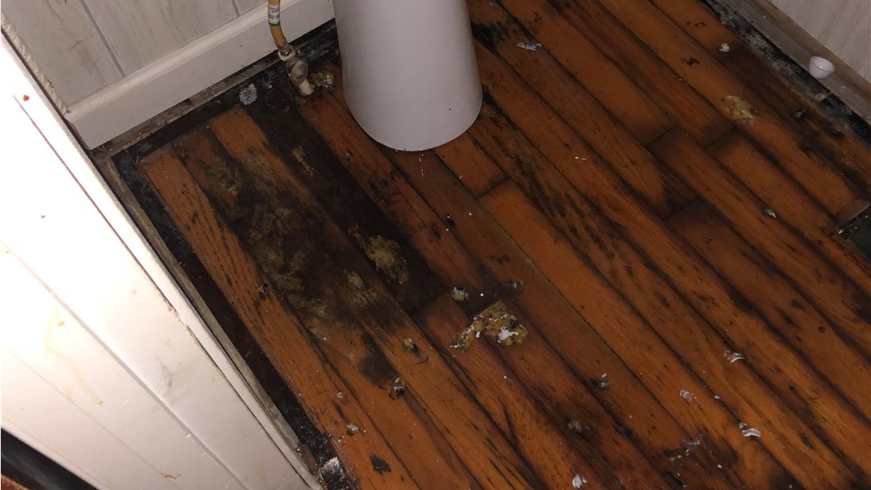 Biohazard Cleanup, Water Damage Project in Crossville, TN by Innovative Home Services