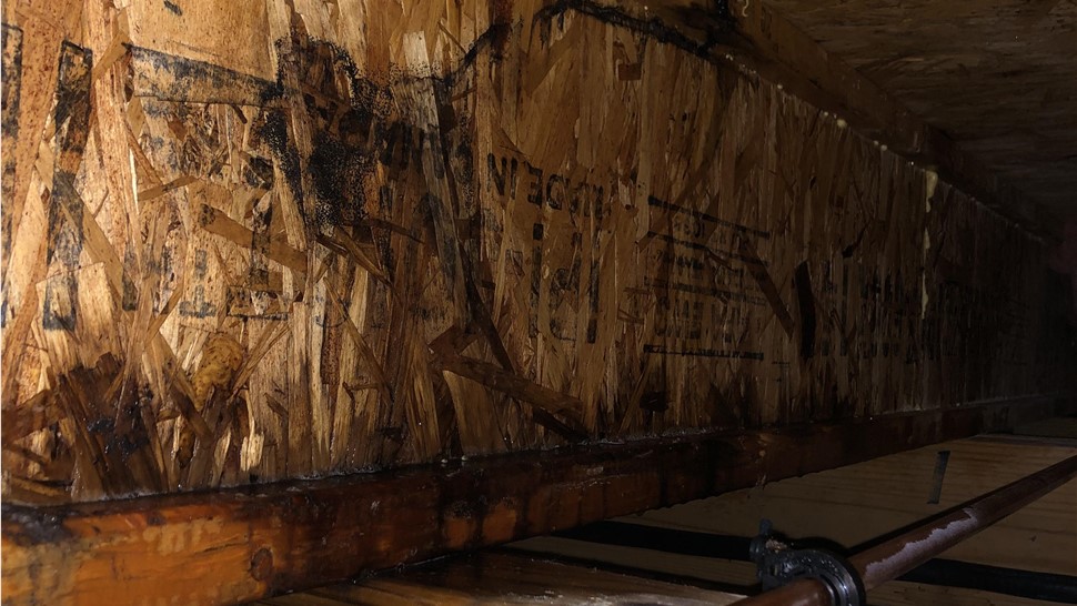 Crawl Space, Water Damage Project in Crossville, TN by Innovative Home Services