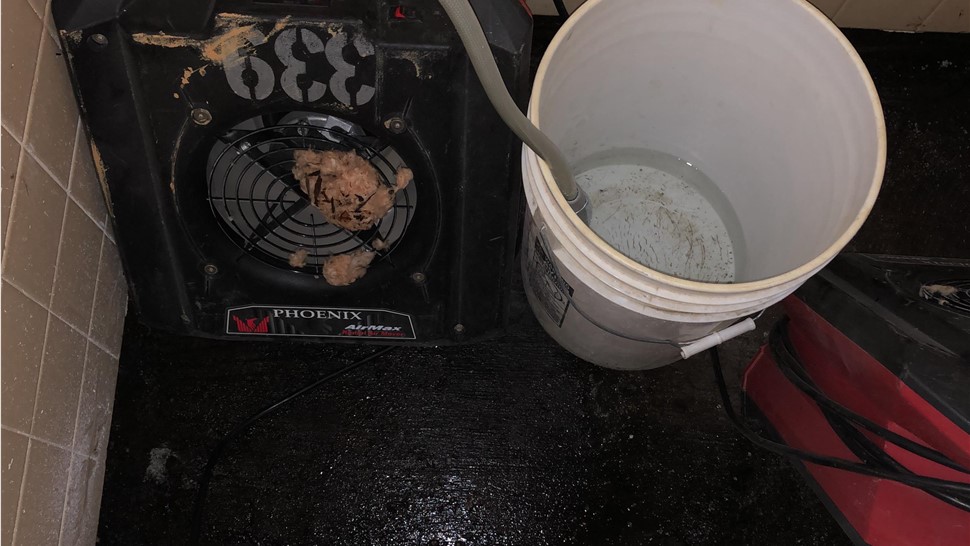 Water Damage Project in Athens, TN by Innovative Home Services