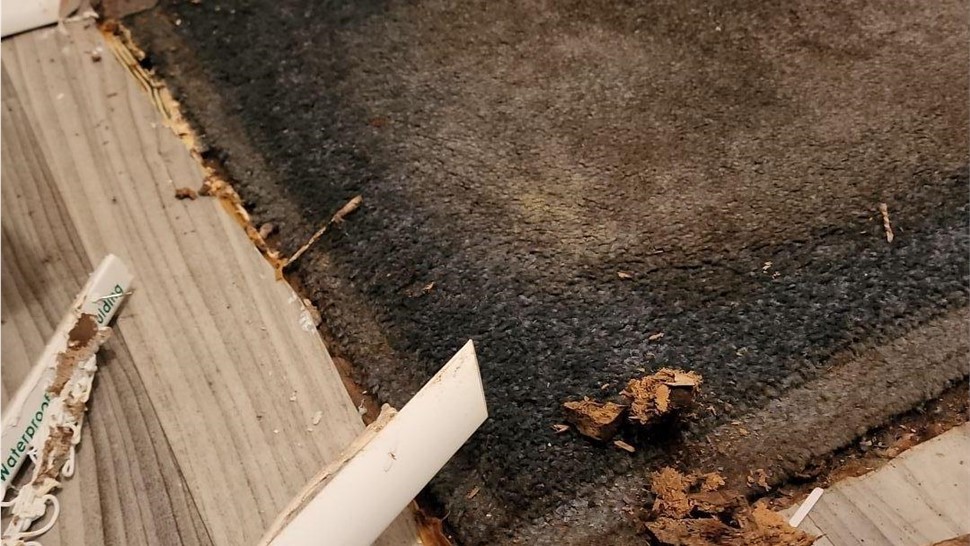 Biohazard Cleanup, Crawl Space Project in Harriman, TN by Innovative Home Services