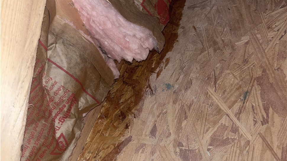 Emergency Services, Water Damage Project in Monterey, TN by Innovative Home Services