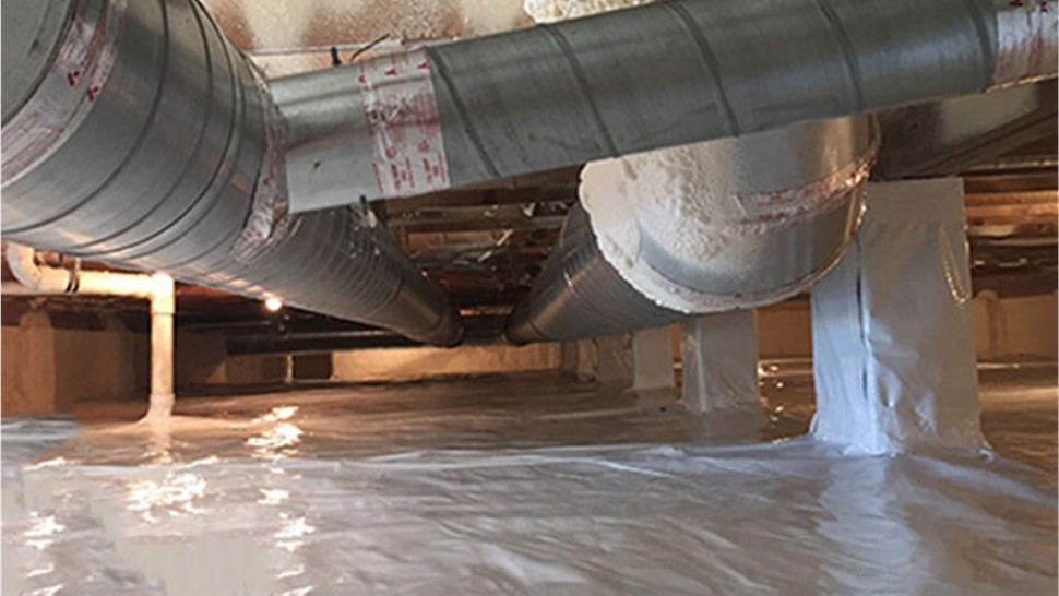 Crawl Space - Moisture Control Photo 1
