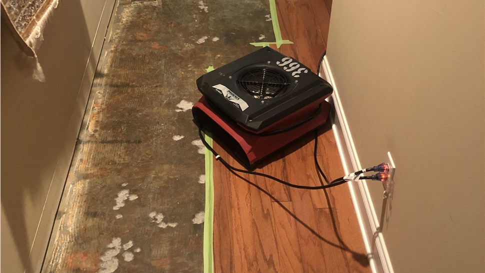 Water Damage - Flood Water Damage Photo 1