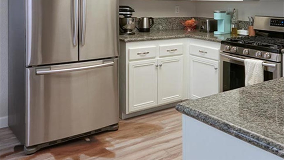 Water Damage - Appliance Leak Cleanup Photo 1