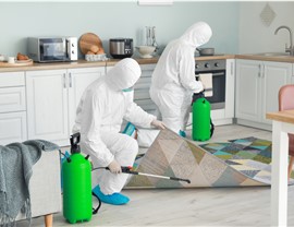 Biohazard Cleanup Photo 2