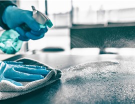 Disinfection Photo 11