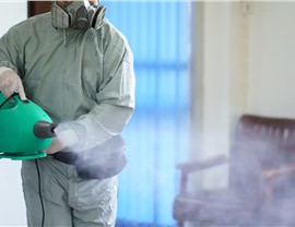 Disinfection Photo 3