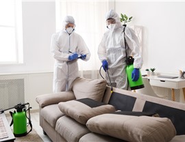 Disinfection Photo 66