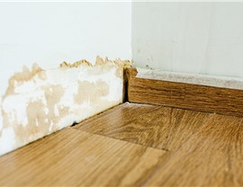 Water Damage - Structural Damage Photo 74