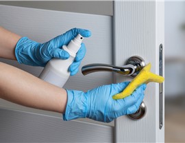 Disinfection Photo 28