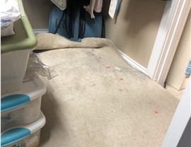 Water Damage - Flood Water Damage Photo 4