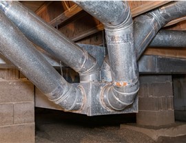 Crawl Space Photo 3