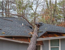 Emergency Services Photo 7