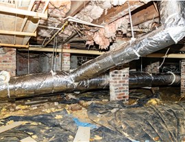 Crawl Space Photo 8
