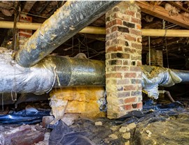 Crawl Space Photo 7