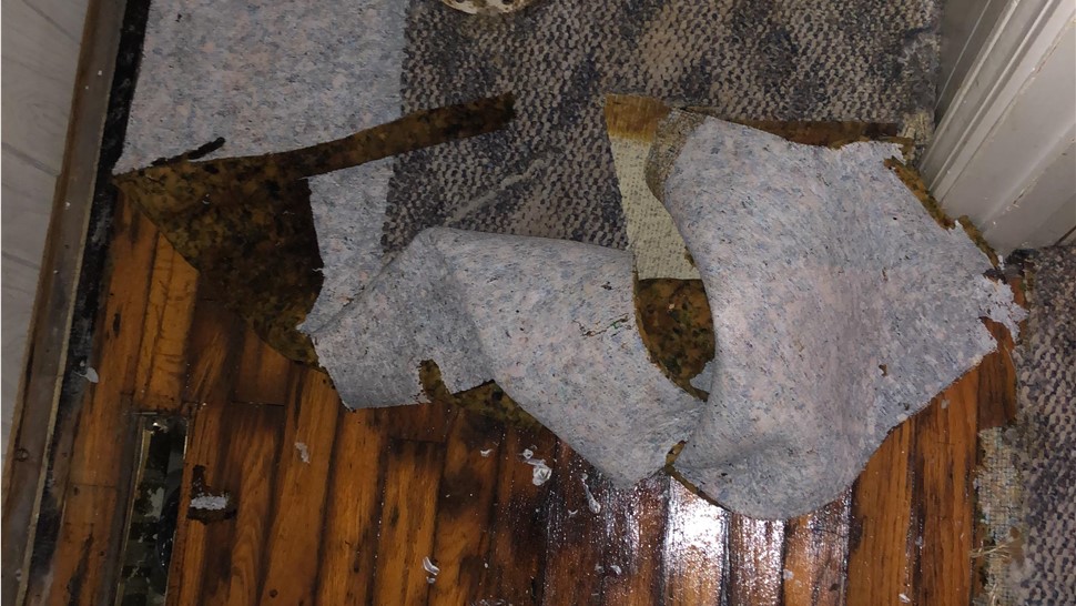 Biohazard Cleanup, Water Damage Project in Crossville, TN by Innovative Home Services