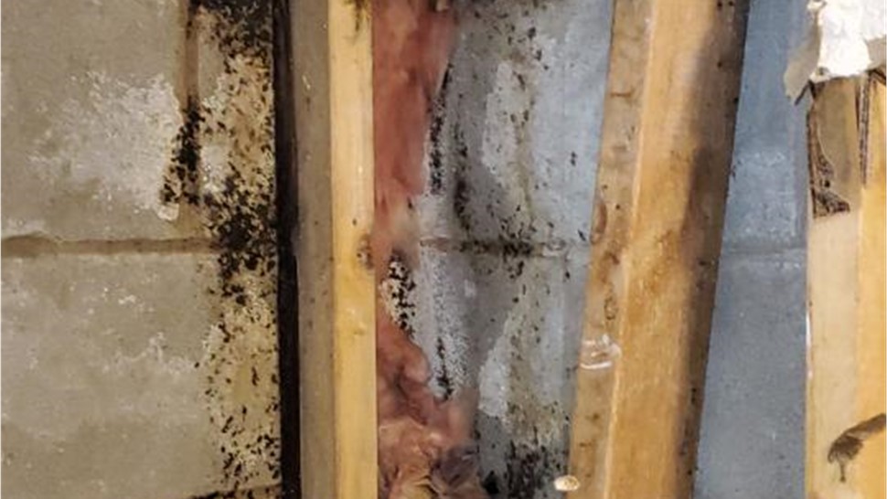 Biohazard Cleanup, Emergency Services, Water Damage Project in Cookeville, TN by Innovative Home Services