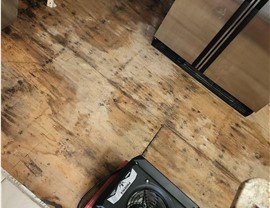 Water Damage Project in Knoxville, TN by Innovative Restorations