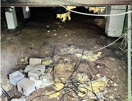 Biohazard Cleanup, Crawl Space Project in Harriman, TN by Innovative Restorations