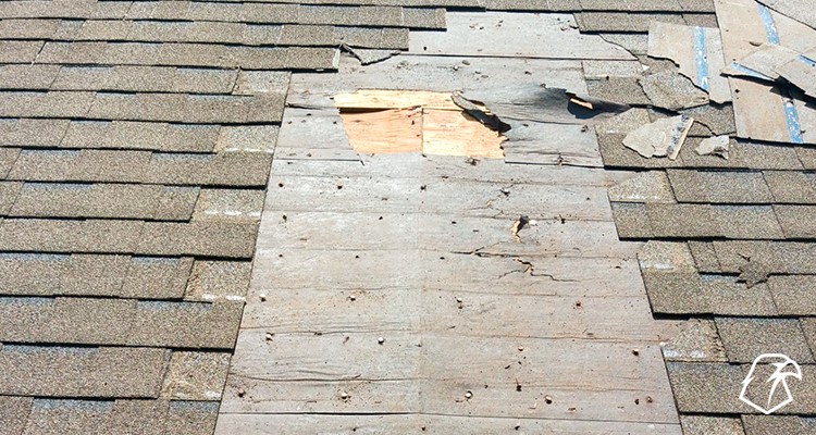 damaged farmington hills roof
