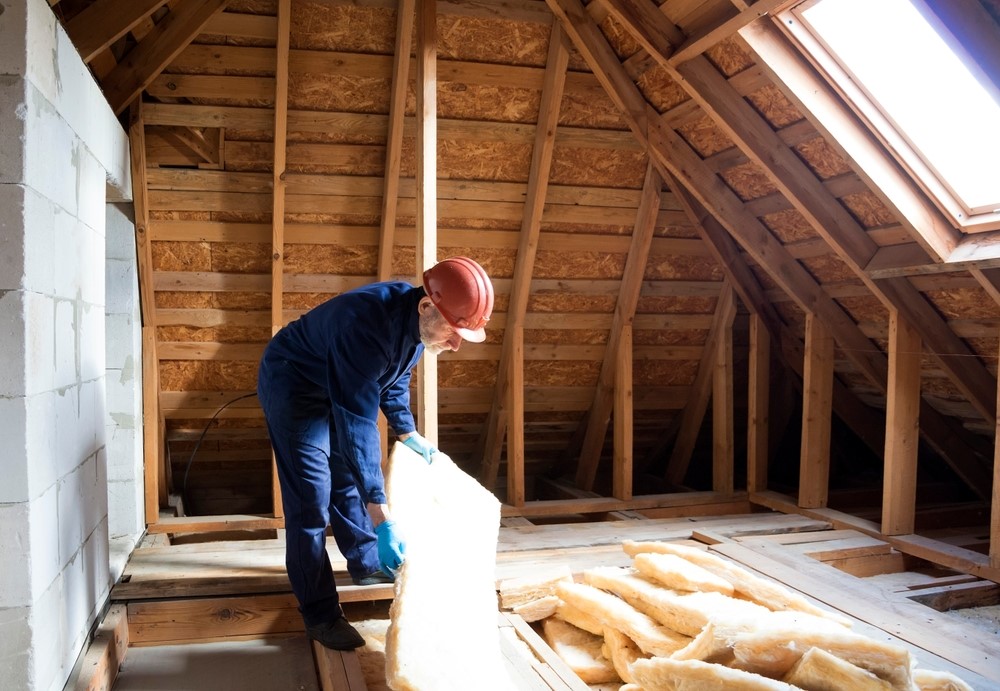 attic mold