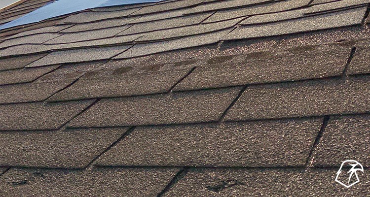 damaged asphalt shingle